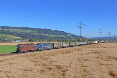 UKV41603 NSSG-GAL